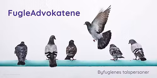 FugleAdvokatene p\u00e5 Oslo Vegetarfestival 2026