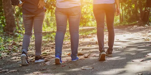 Guided Walking Tour