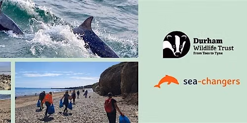Sea Rangers: Seabird survey