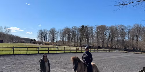 Undervisning og st\u00e6vnetr\u00e6ning med FEIF dommer Lise Brou\u00e9r