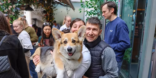 CORGI CAFE CHRISTMAS - CARDIFF