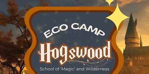 Hogswood School of Magic Camp | Dragonfly Field Labs