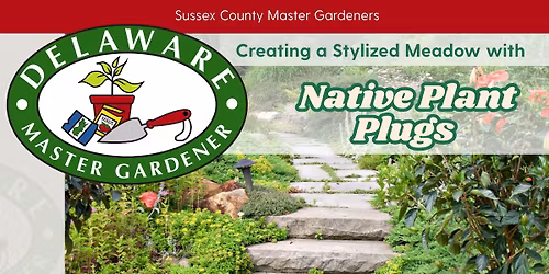 Creating a Stylized Meadow with Native Plant Plugs