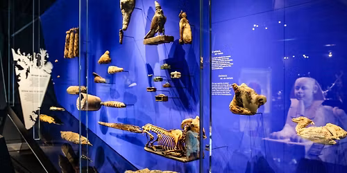 Visite guid\u00e9e au Mus\u00e9e des Confluences - adultes : D\u00e9couverte des collections \u00e9gyptiennes