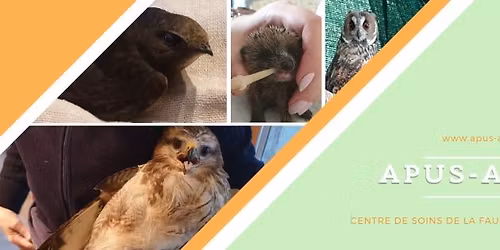 Diffusion du film Vivant de Yann Arthus Bertrand