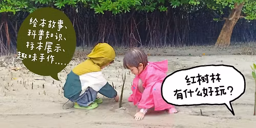 \u7ea2\u6811\u6797\u6709\u4ec0\u4e48\u597d\u73a9? 