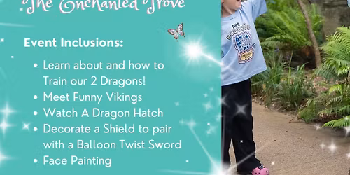 Dragon Training with Vikings!