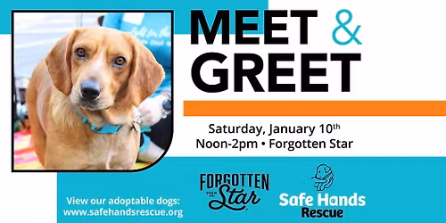 Safe Hands Rescue Meet & Greet at Forgotten Star Brewing