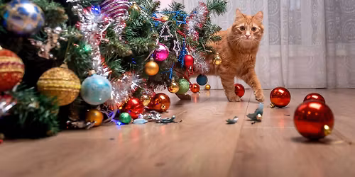 Ok So Tulsa Story Slam - Theme: "HOLIDAY DISASTERS"