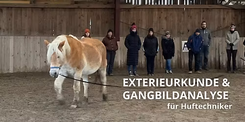 Exterieurkunde und Gangbildanalyse f\u00fcr HuftechnikerInnen