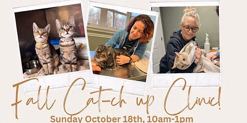 Fall Cat Wellness Clinic