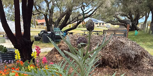 Sunday Busy Bee @ the Garden