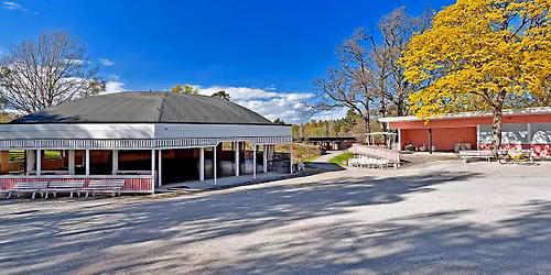 Loppis i Dalaborgsparken