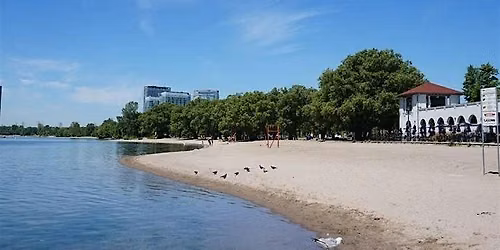 Toronto Total Shoreline Cleanup #42