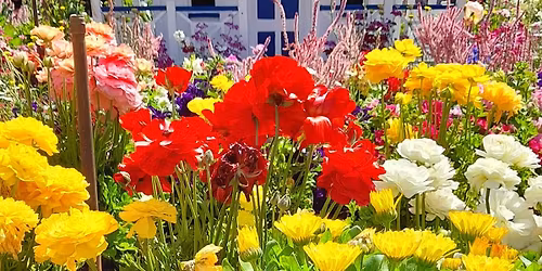 BUDDHIST TEMPLE TOUR THIS TOUR IS FULL TAKING STAND BYS