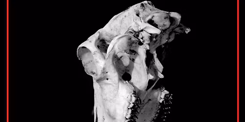 \u00c0 TERRE \u2694\ufe0f See Paris And Die \u2694\ufe0f Cycleam\u2694\ufe0f (Hardcore\/Metal\/Post)