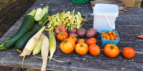 Growing vegetables in the Willamette Valley