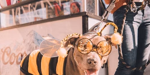 Lucky's Burger & Brew Rock for Rescues Hoots n Howls