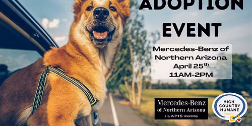 Mercedes-Benz of Northern Arizona Adoption Event