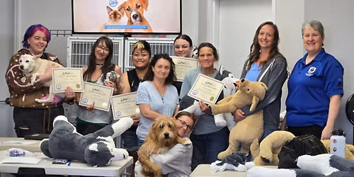 Pet CPR\/First Aid Class 6.5 hour