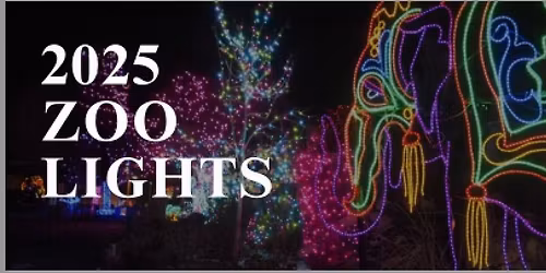 2025 Denver Zoo Lights- Discounted Tickets- Hosted by Coldwell Banker Realty and Alison Kaufman