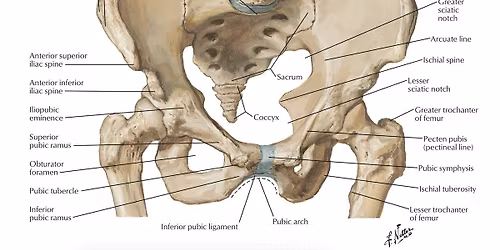 \u0414\u0438\u0441\u0444\u0443\u043d\u043a\u0446\u0438\u0438 \u043d\u0430 \u0442\u0430\u0437. \u041e\u0441\u0442\u0435\u043e\u043f\u0430\u0442\u0438\u0447\u0435\u043d \u043f\u043e\u0434\u0445\u043e\u0434 \u0438 \u043a\u043e\u0440\u0435\u043a\u0446\u0438\u044f