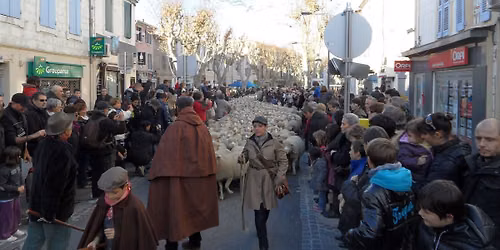 La f\u00eate des Bergers \u00e0 Istres
