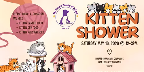 Kitten Shower for HSH!