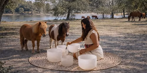 Summer Solstice Women\u2019s Circle & Horse Healing