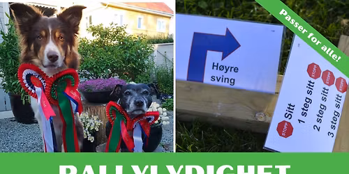 Rallylydighet: Introkurs (FULLT!)