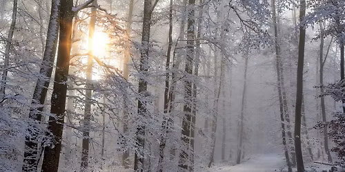 Sanselig \u00e5rstidsvandring - vintersolhverv