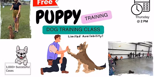 FREE Puppy Training Class