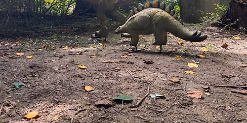 June Summer 3D Fun Shoot