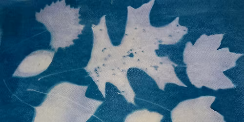 Cyanotype: The Art of Sun-Printed Botanicals