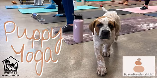 Puppy Yoga - SOLD OUT