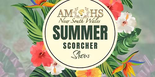 2026 AMHS NSW Summer Scorcher Show