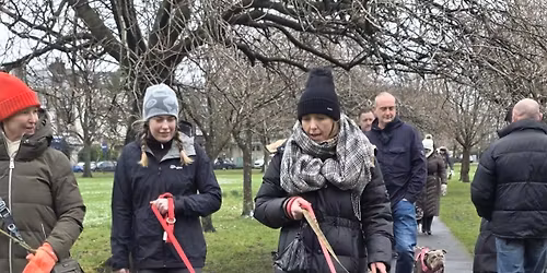 Yorkshire (Harrogate) Bulldog Walk for GBSR UK