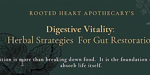 Digestive Vitality - Herbal Strategies for Gut Restoration