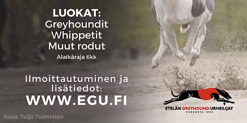 Kuoppamestaruus 2026