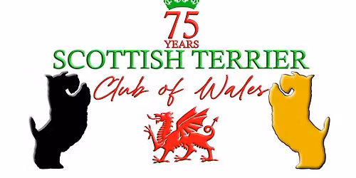 \ud83c\udfc6The Scottish Terrier Club of Wales 75th Anniversary Championship Show\ud83c\udfc6