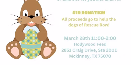 Pictures with the Easter Bunny at Hollywood Feed in McKinney