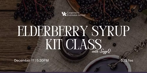Elderberry Syrup Class