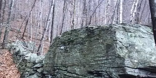 Lewis Hollow Summer Solstice Hike