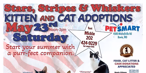 Kitten and Cat Adoption Event at the Bowie PetSmart