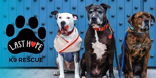 6th Annual Barktoberfest
