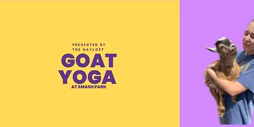 Goat Yoga at Smash Park in Roseville