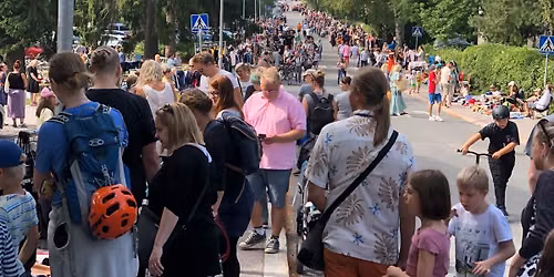 Katukirppis Halkosuontiell\u00e4