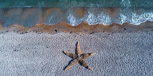 Between Land and Tide