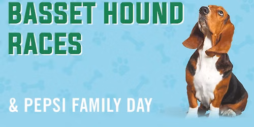Basset Hound Races