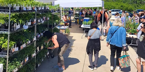 Native Plant & Vegetable Sale